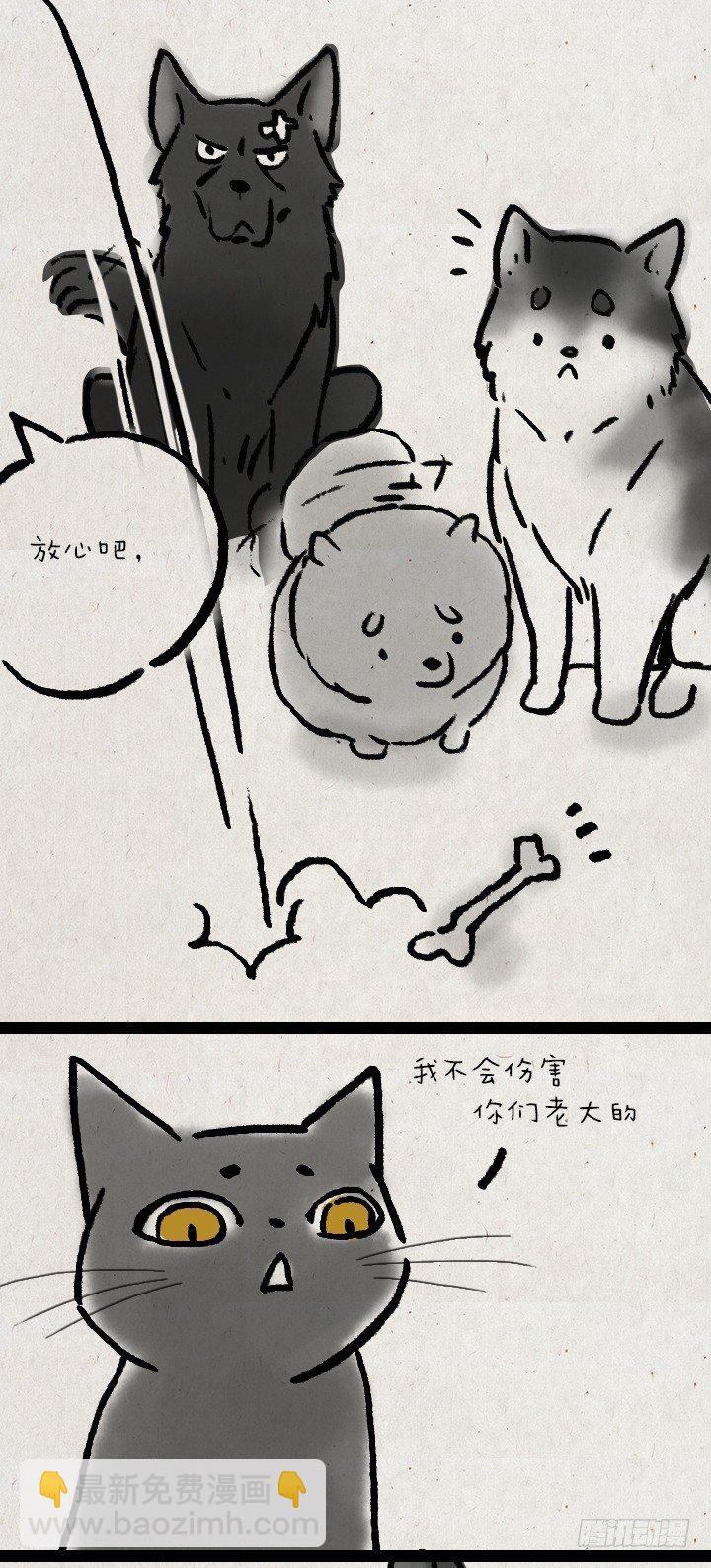 第五十九话 猫猫狗狗续集-第58话