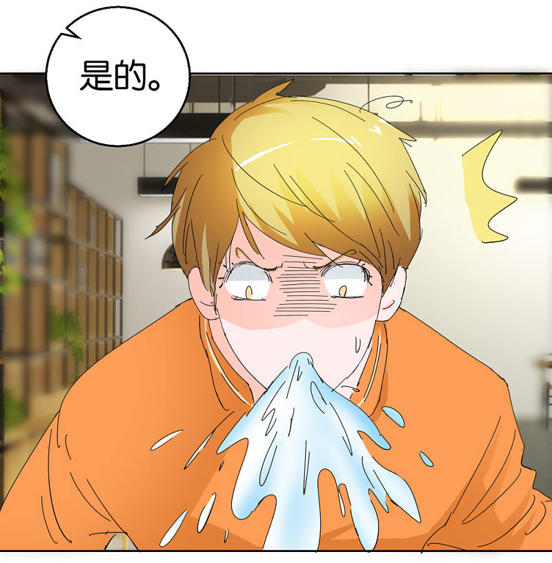 第37话 偷拍-第54话