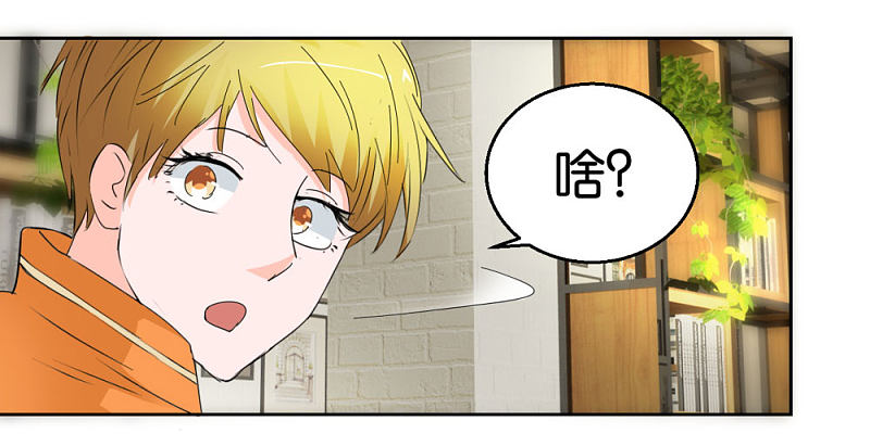 第37话 偷拍-第54话