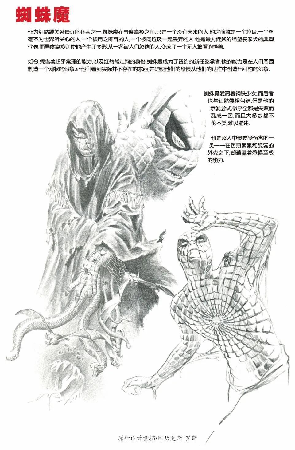 🍜异世界X 设定集 第27页