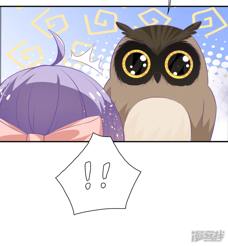 第18话 树洞猫头鹰-第20话