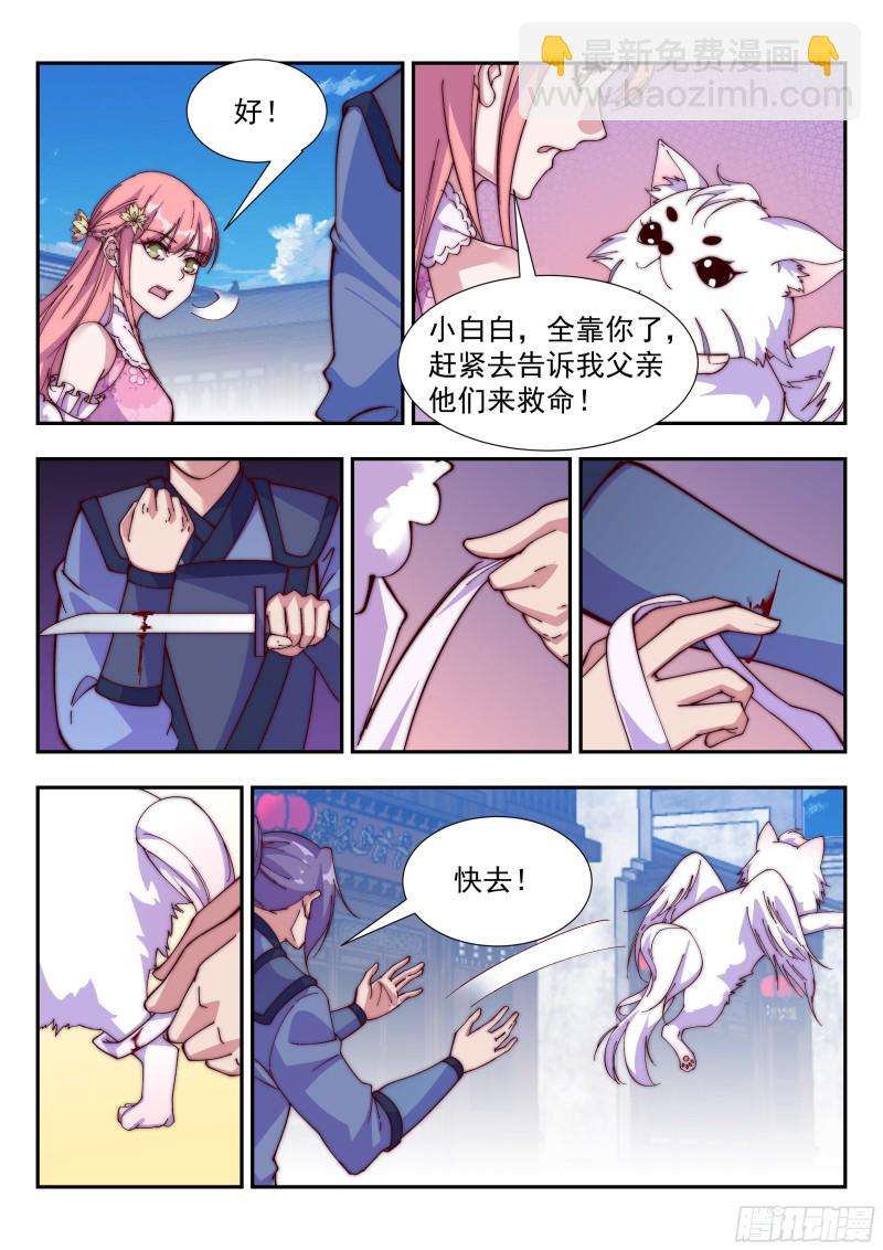 小白白搬救兵-第100话
