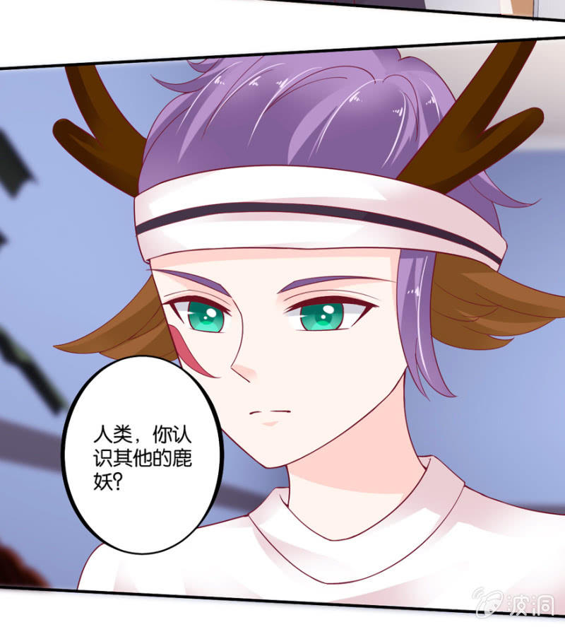 第35话-第42话