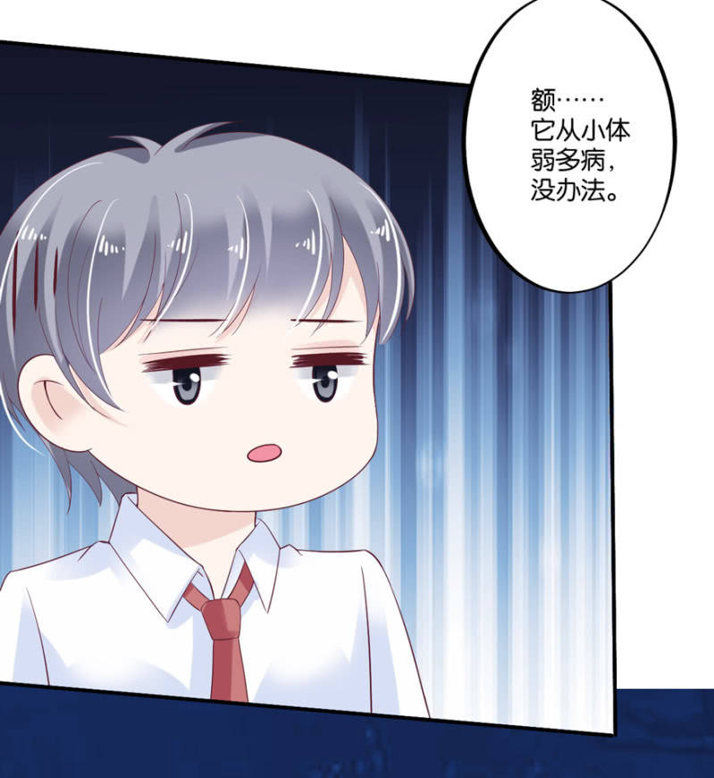第41话-第48话