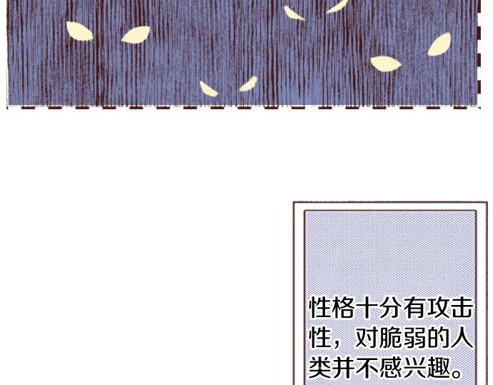 第24话 忠犬上线！(1/2)-第24话