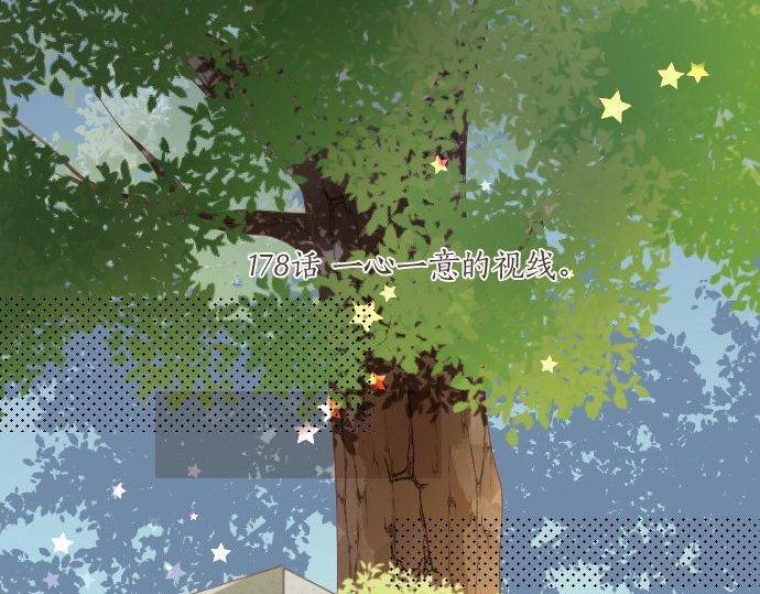 第178话 重要的话。(1/2)-第178话