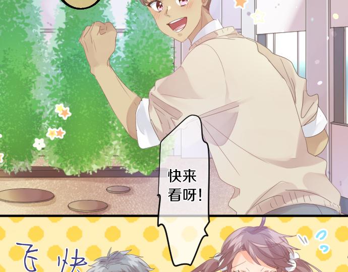 第194话 猫咪和你(1/2)-第194话