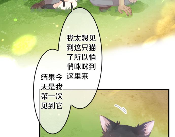 第194话 猫咪和你(1/2)-第194话