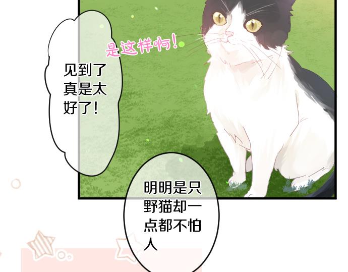第194话 猫咪和你(1/2)-第194话