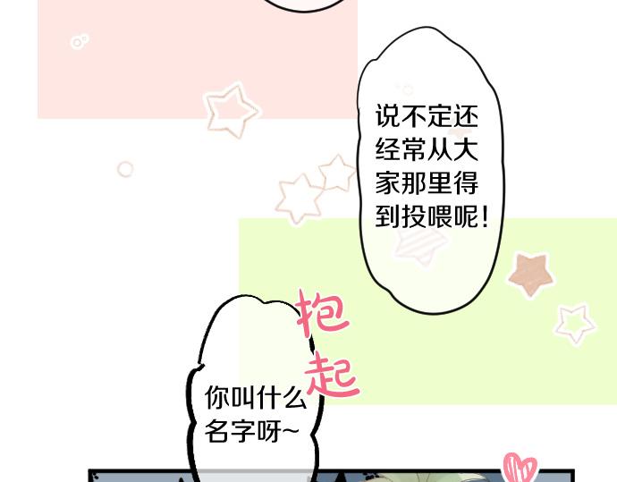 第194话 猫咪和你(1/2)-第194话