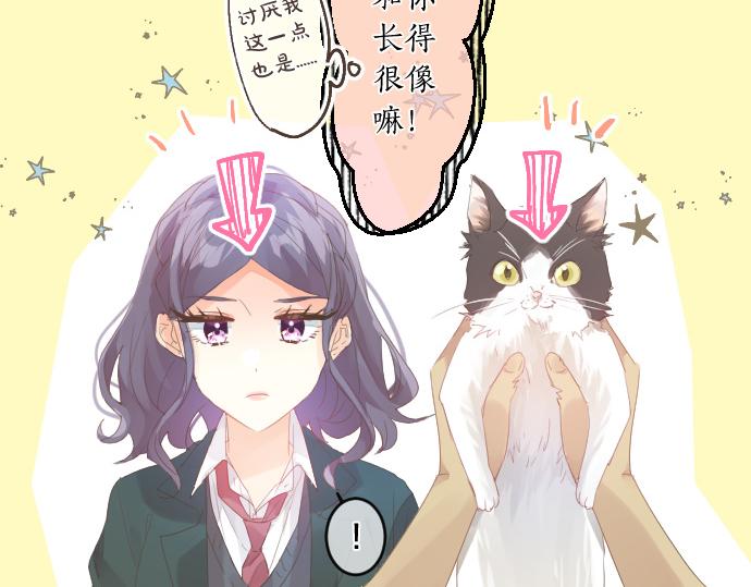 第194话 猫咪和你(1/2)-第194话