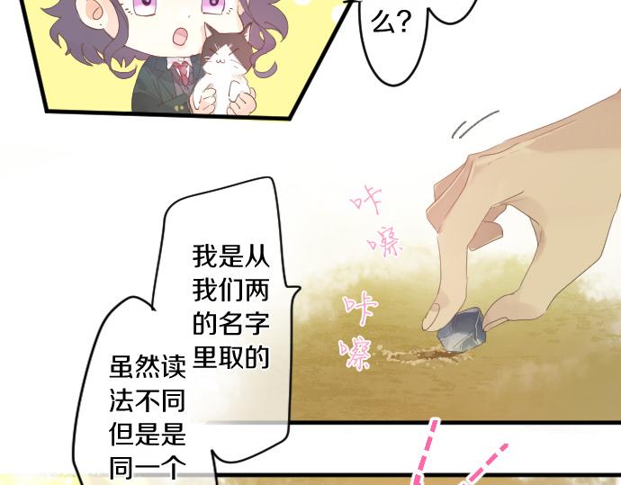 第194话 猫咪和你(1/2)-第194话