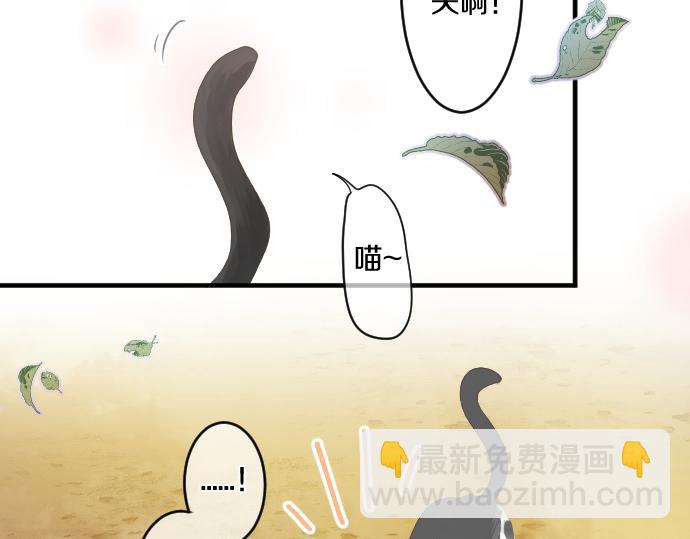 第202话 阳光(1/2)-第202话