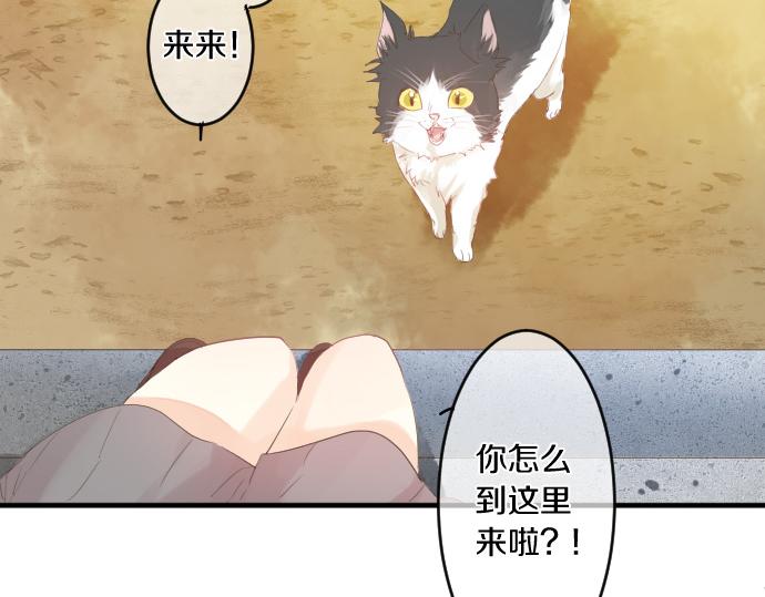 第202话 阳光(1/2)-第202话