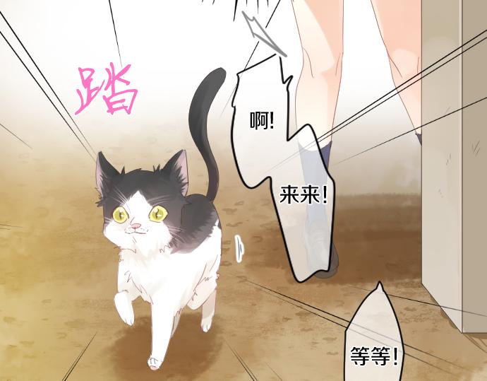 第202话 阳光(1/2)-第202话