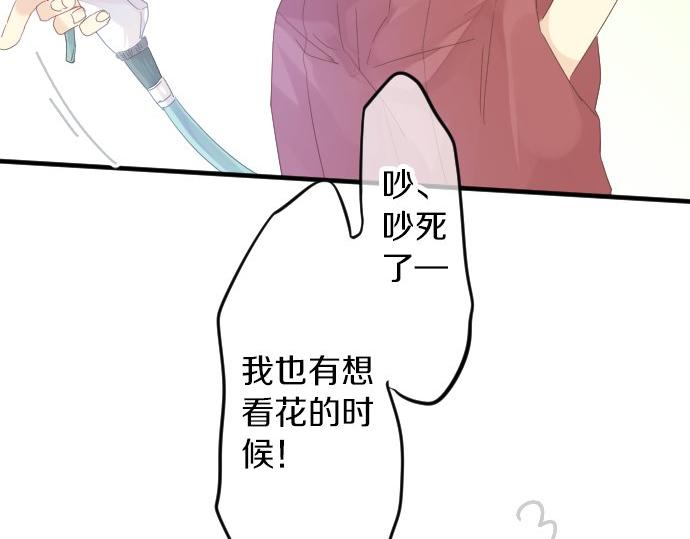 第62话 建议(1/3)-第62话