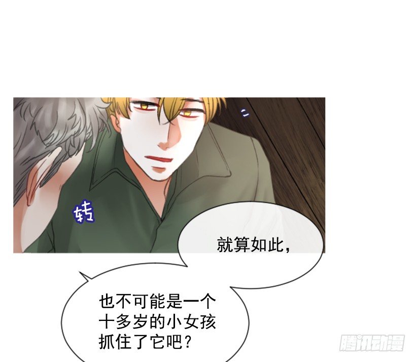7.美少女佣兵团(1/2)-第8话