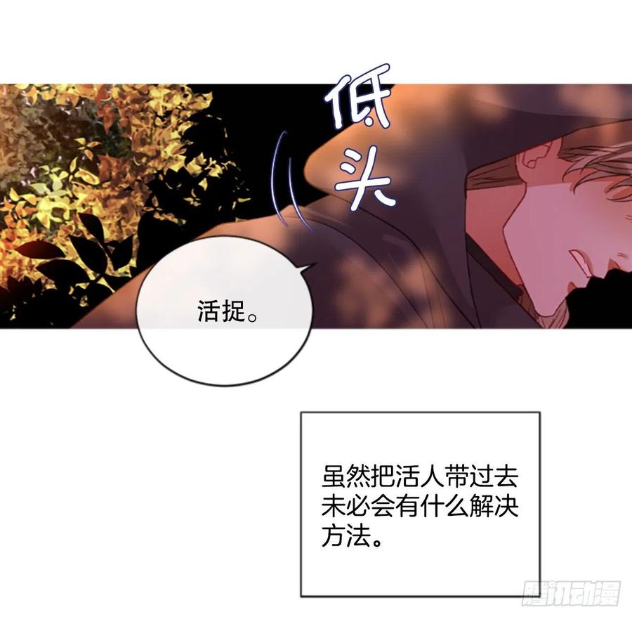 82.白鹰伊里斯-第84话