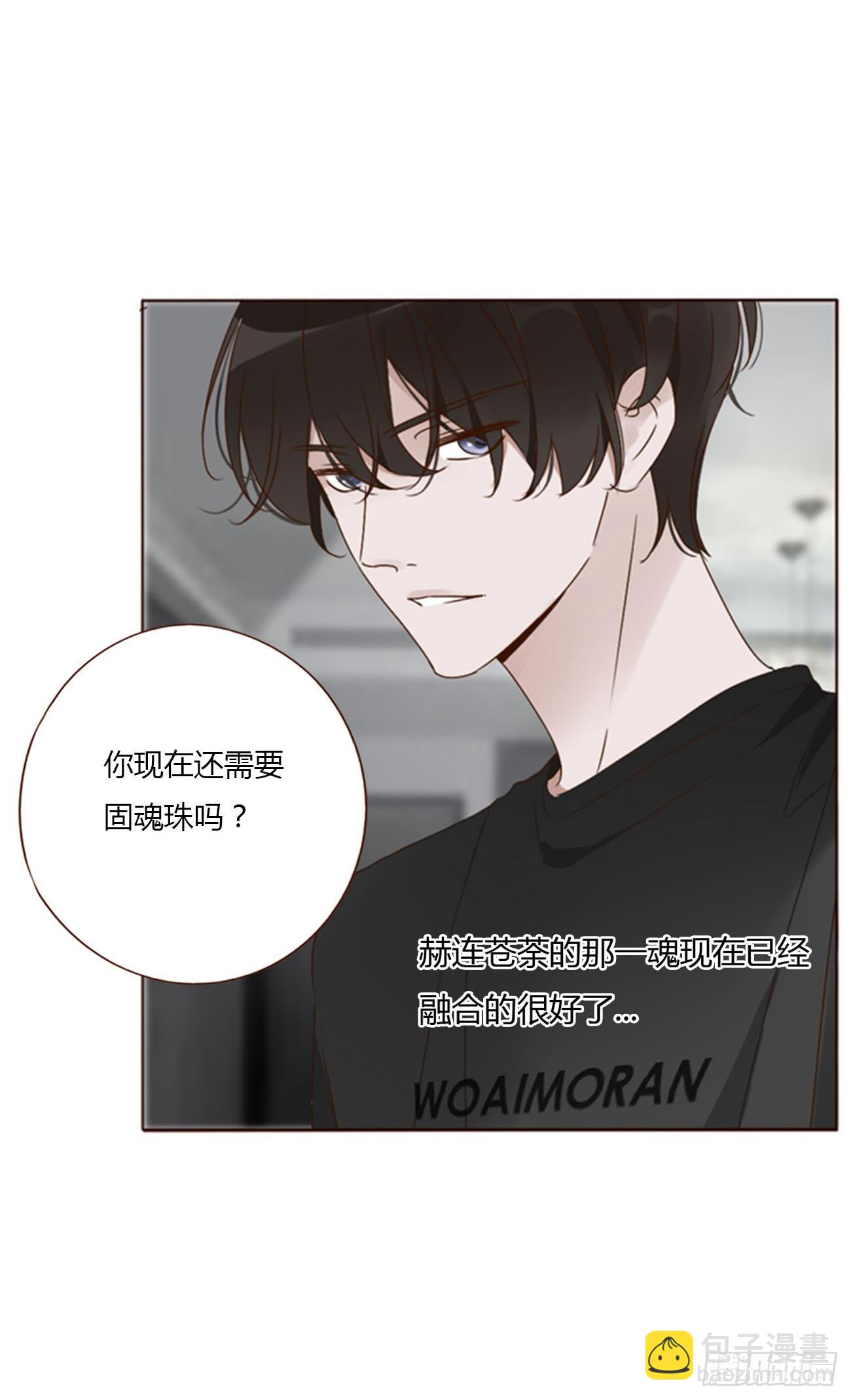 九十三章 固魂珠2-第100话