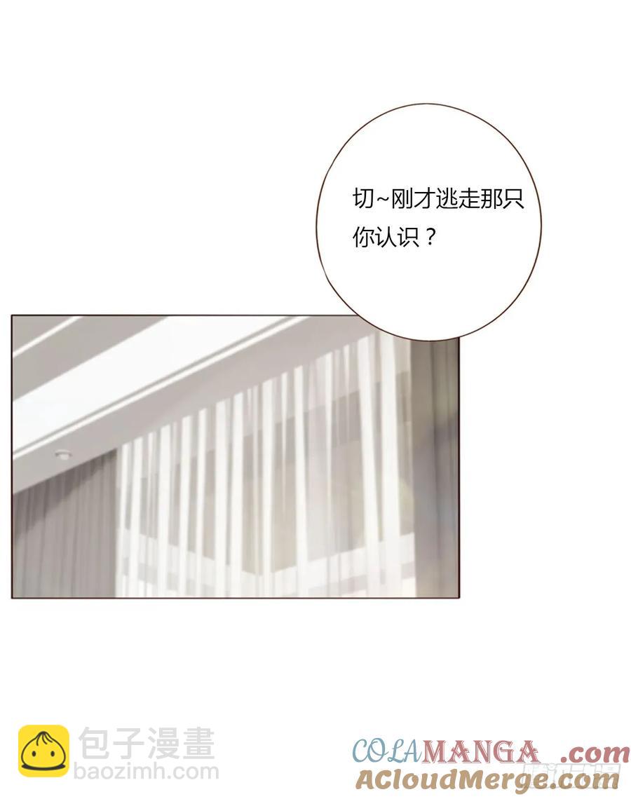 一三零章 蛮蟒-第136话