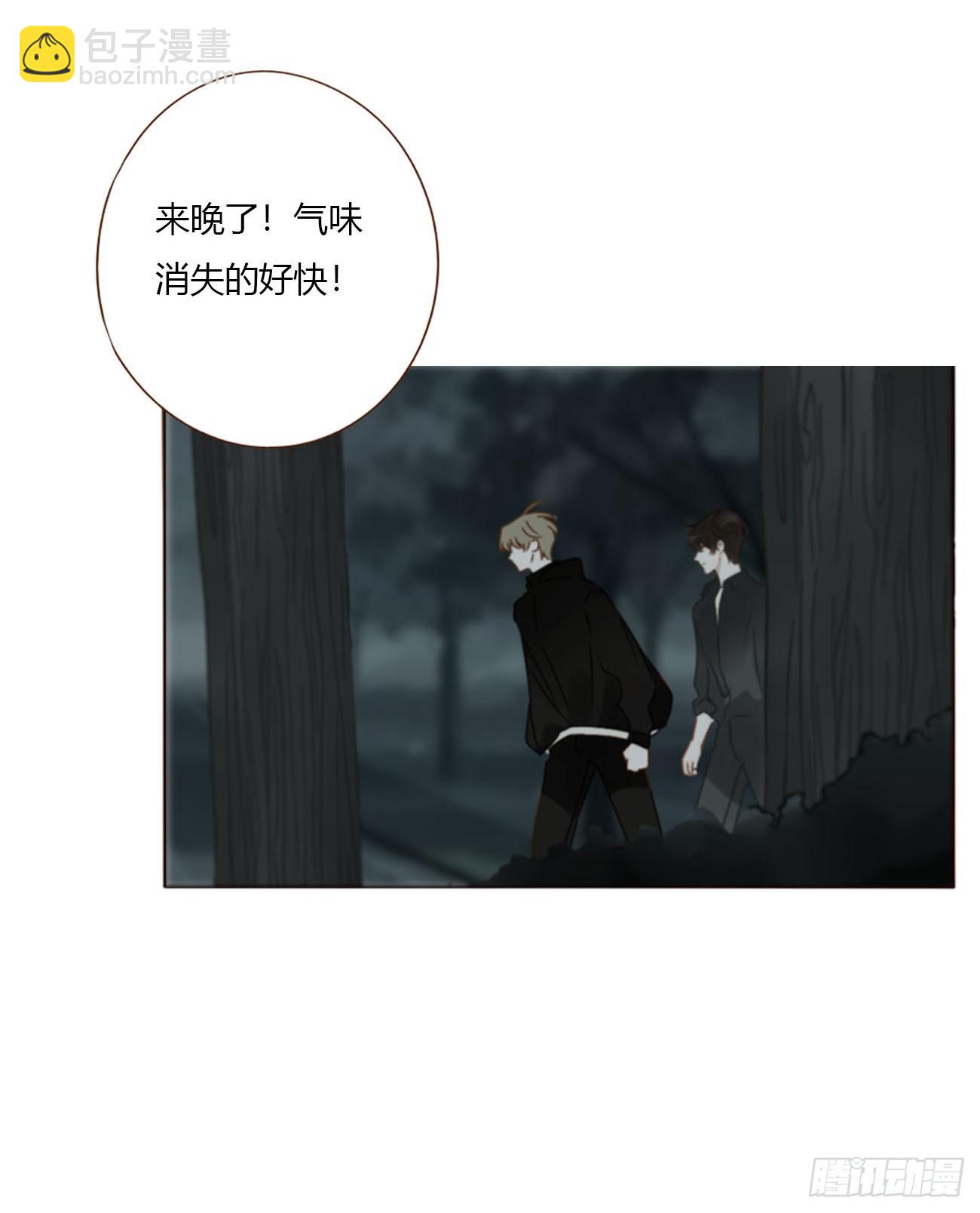 一五五章 车祸-第162话