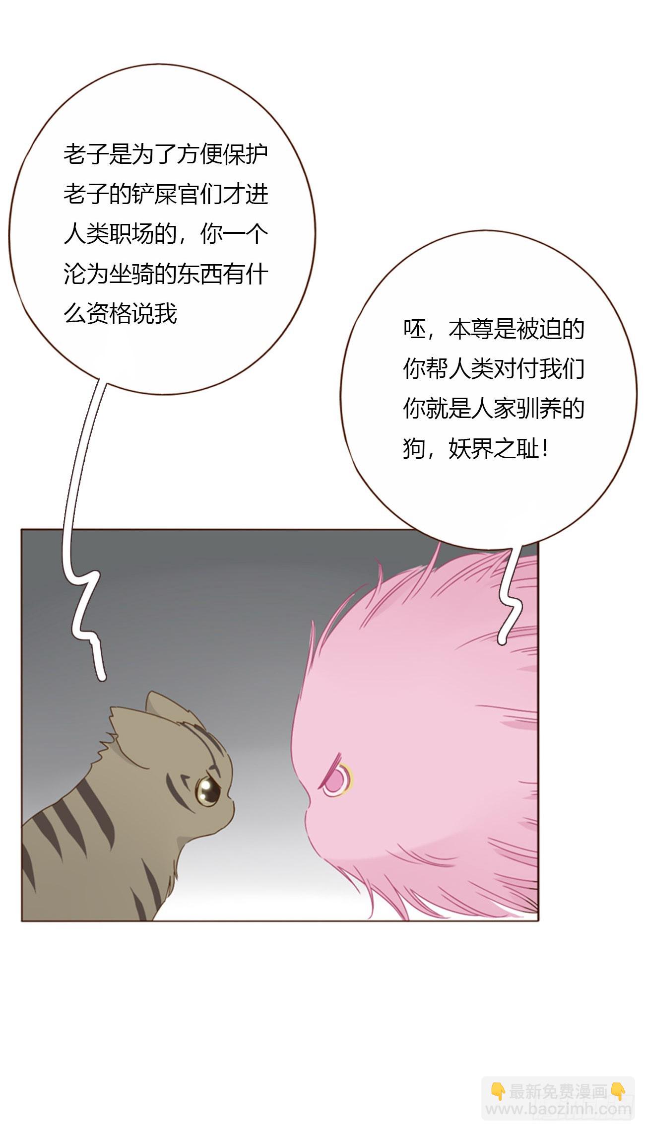 一六三章 轻松的一天-第170话