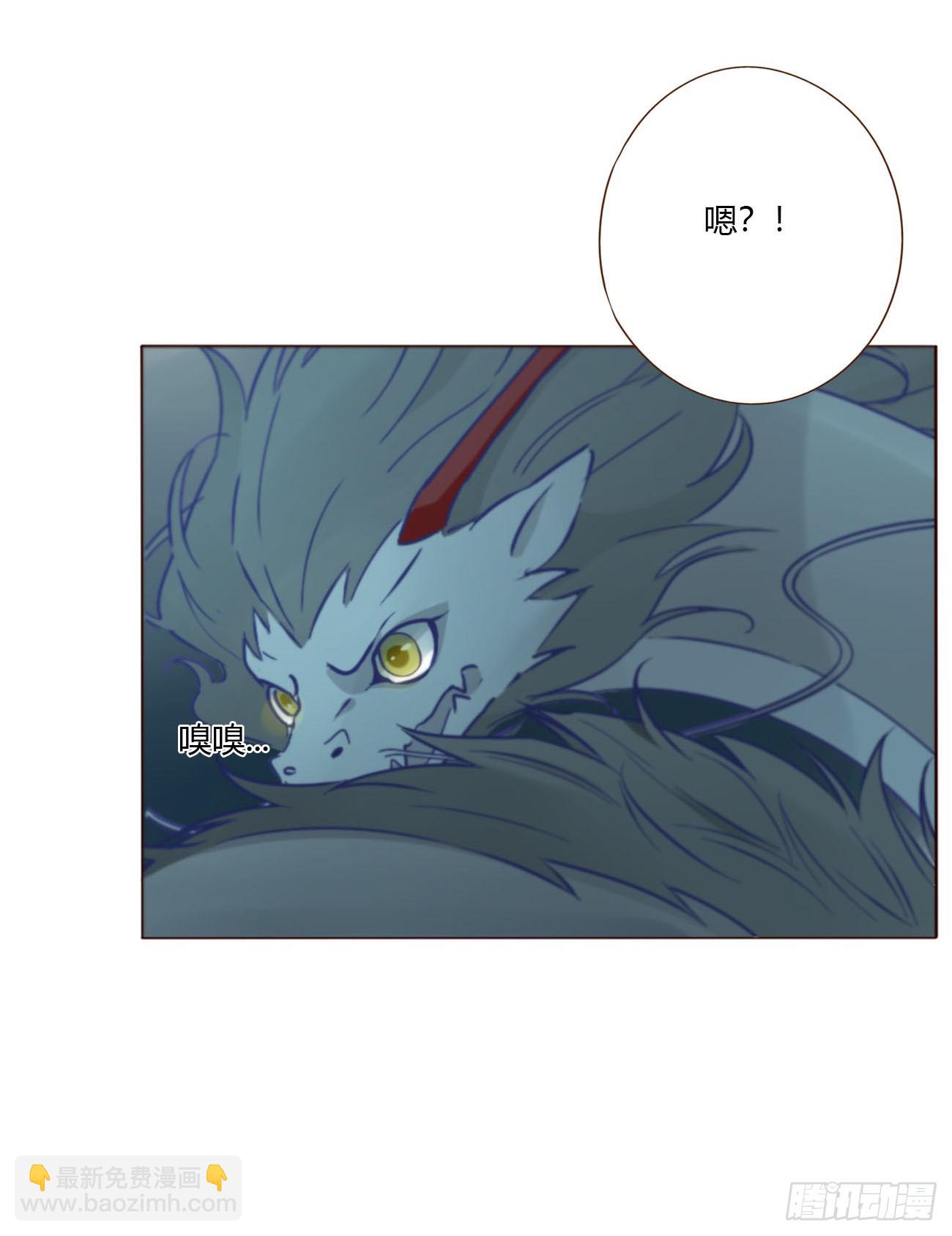 一六七章 灶笼-第174话