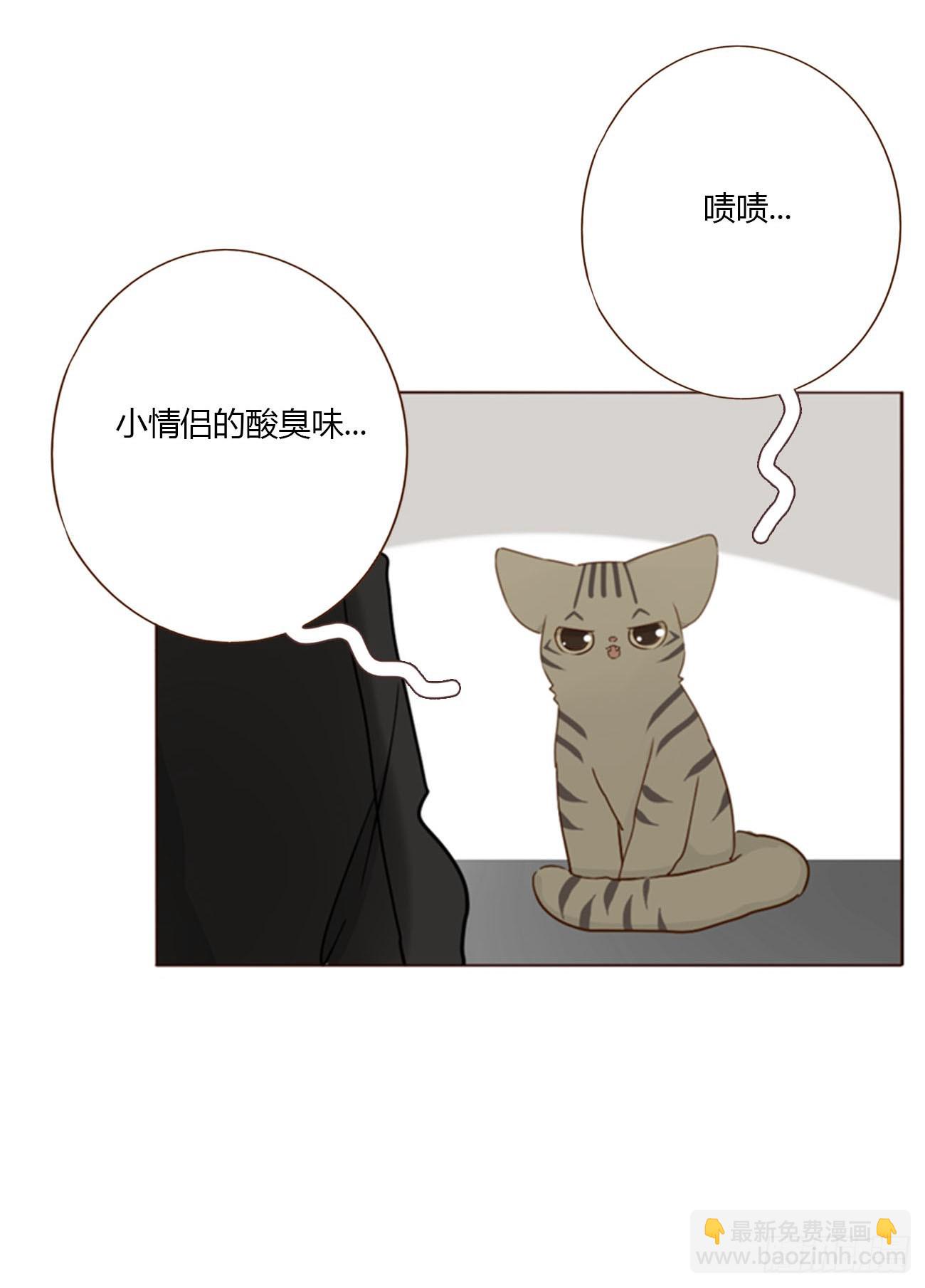一八七章 角色互换-第194话