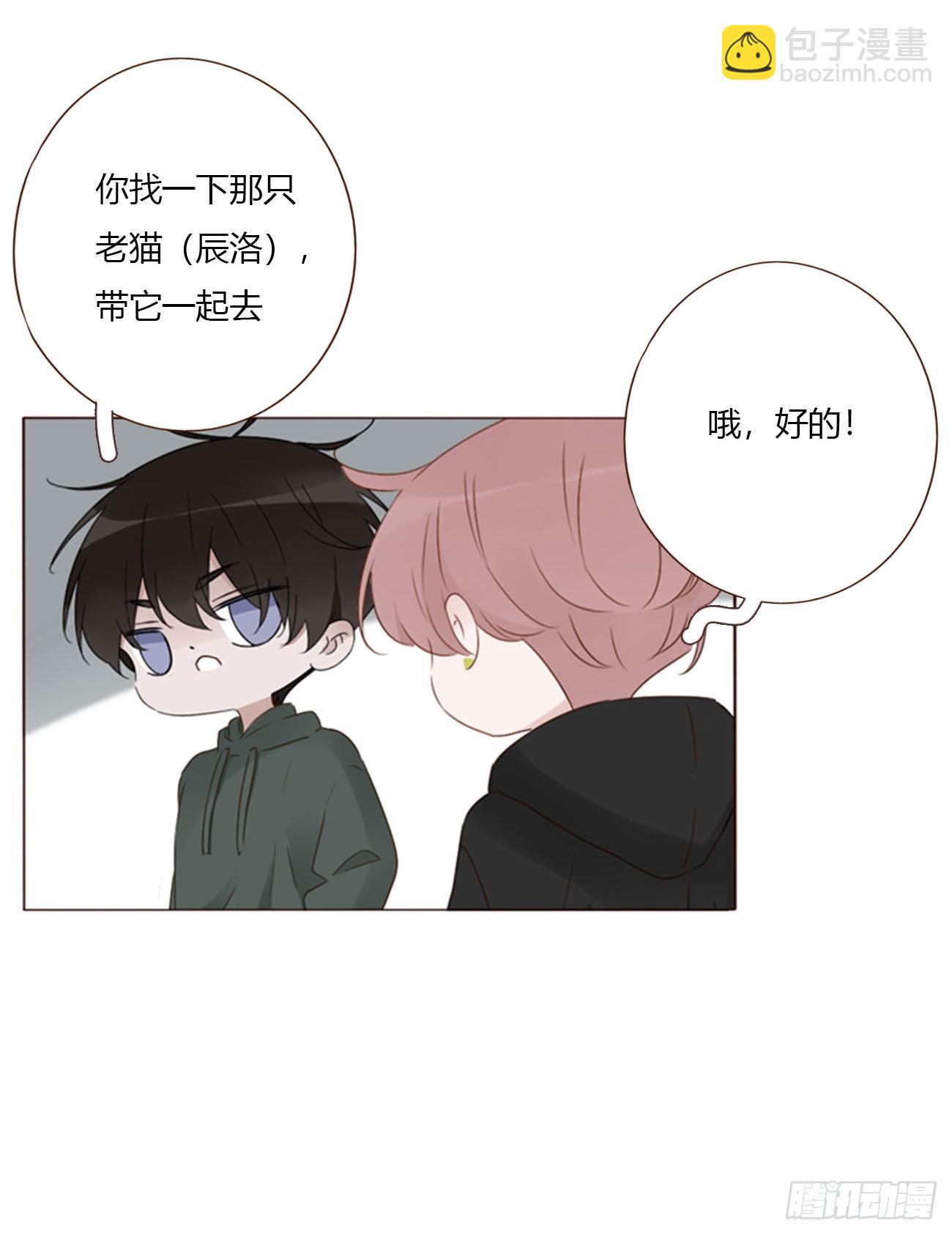 二百零五章 准备动手了-第212话