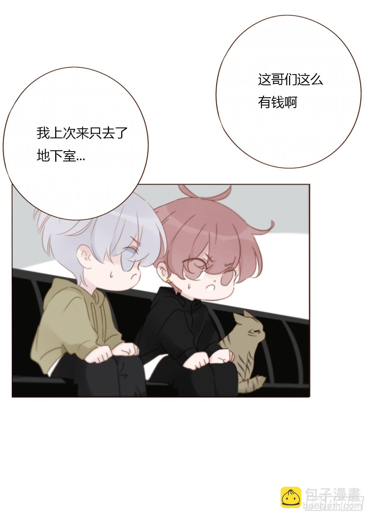二百零五章 准备动手了-第212话