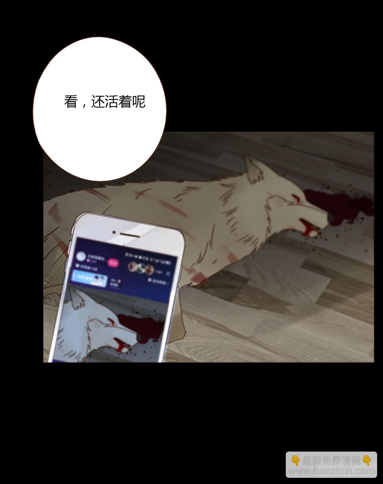 七十六章 找&ldquo;狗&rdquo;-第82话