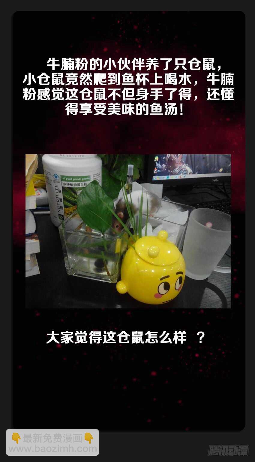 🍜勇者约吗 第220集 战书 第13页