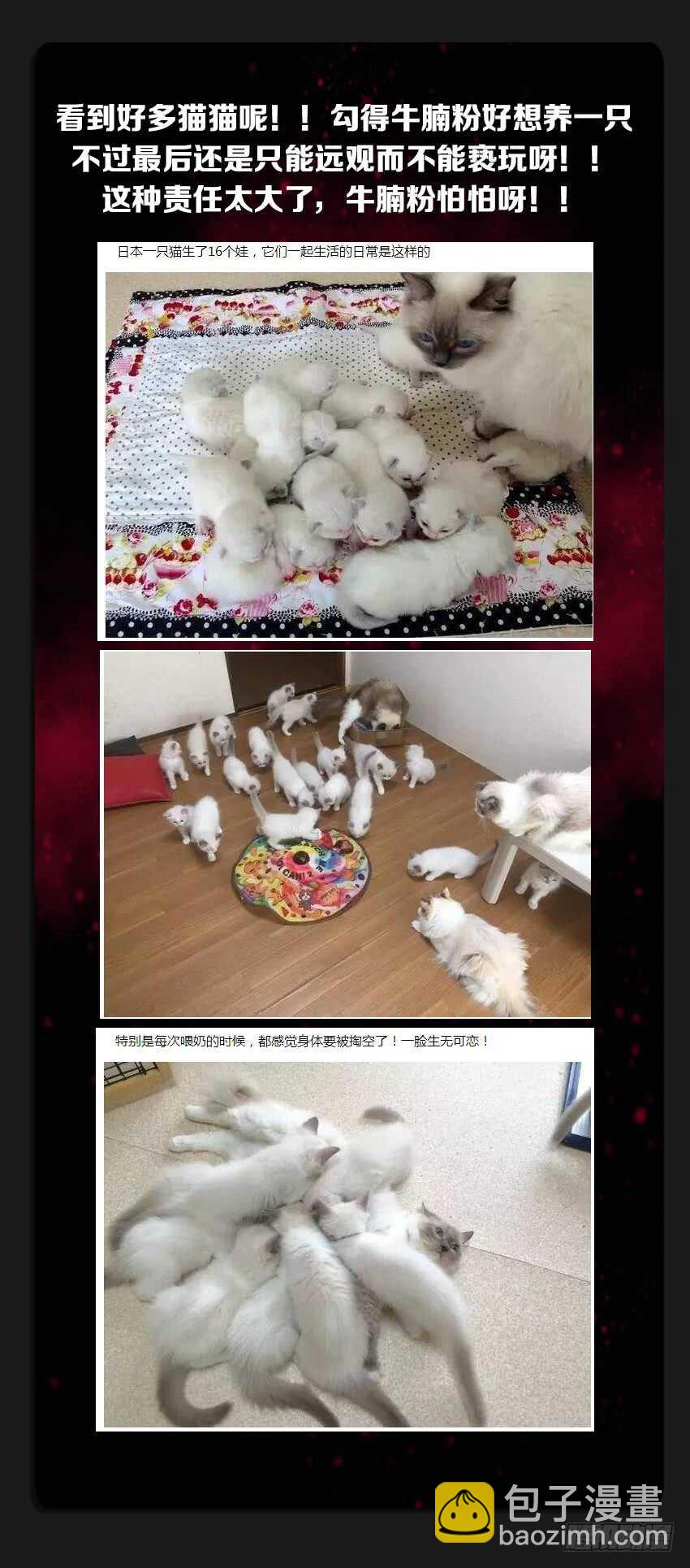 🍜勇者约吗 第228集 重拾军心 第13页