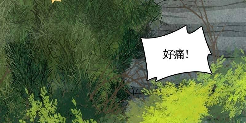 草药组 死生契阔（上）(1/5)-第102话