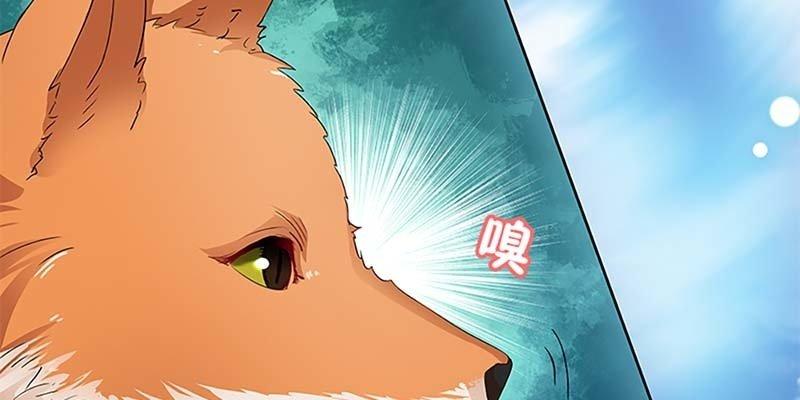天魔女是飞升者？(1/4)-第30话
