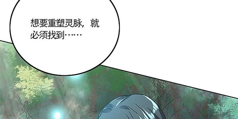 重塑灵脉的希望(1/4)-第34话