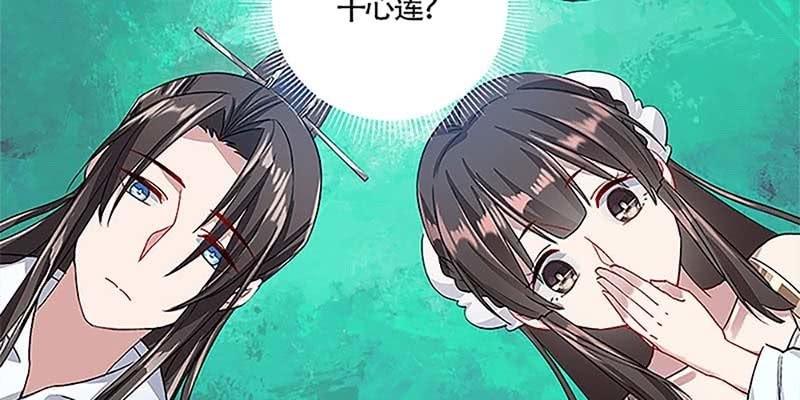 重塑灵脉的希望(1/4)-第34话