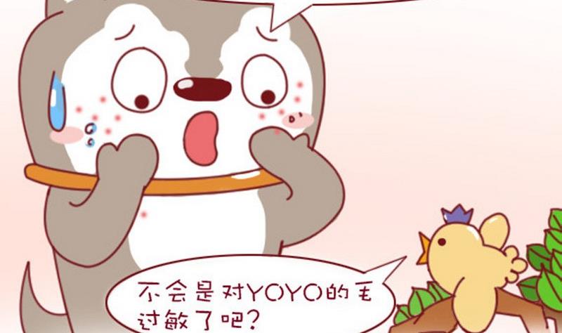 🍜有宠百科 第2话 第2页