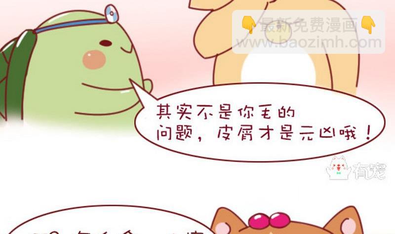 🍜有宠百科 第2话 第4页
