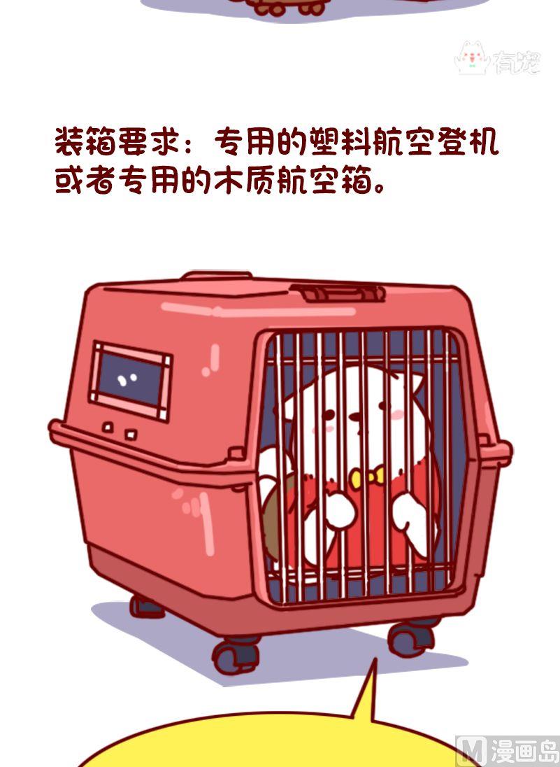 🍜有宠百科 第102话 第5页