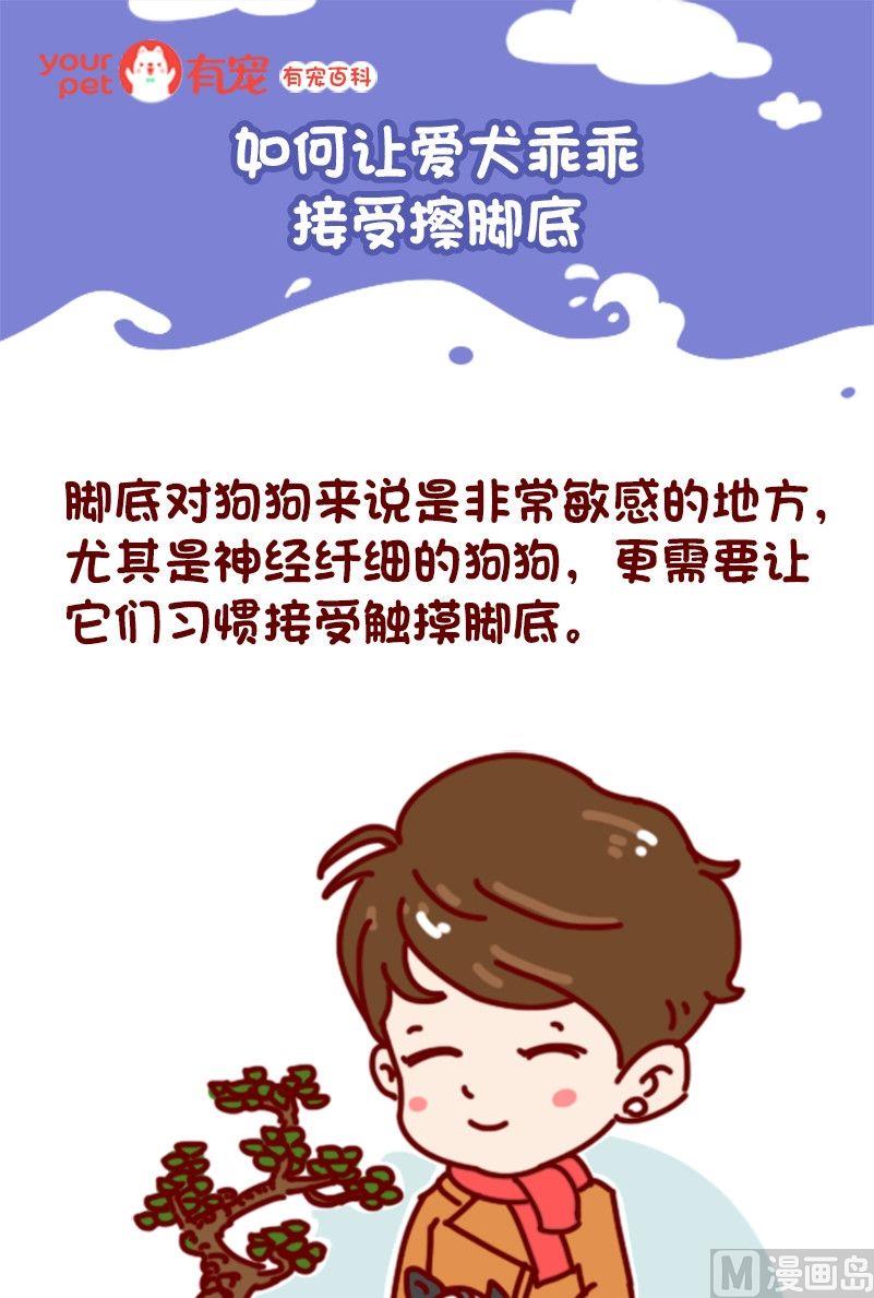 🍜有宠百科 第104话 第1页
