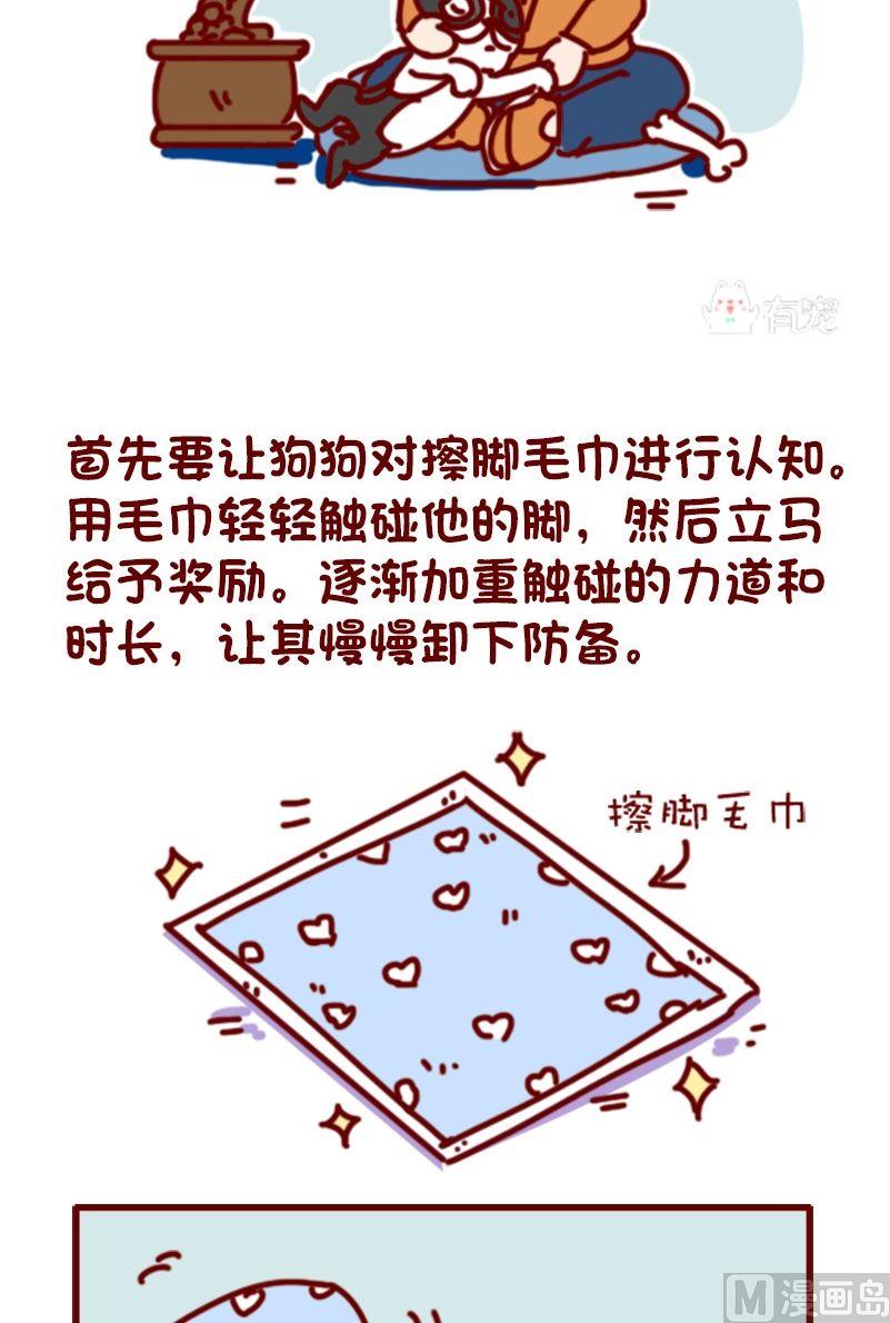 🍜有宠百科 第104话 第2页