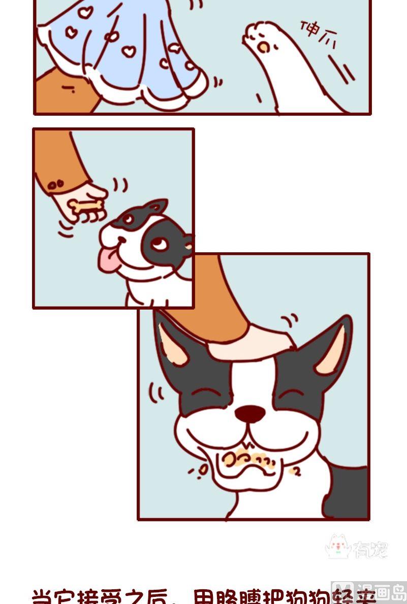 🍜有宠百科 第104话 第3页