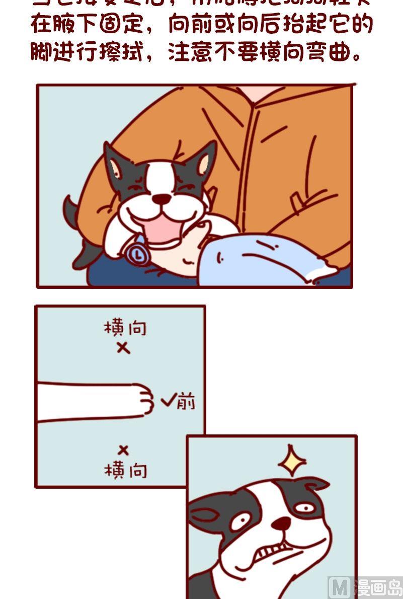🍜有宠百科 第104话 第4页