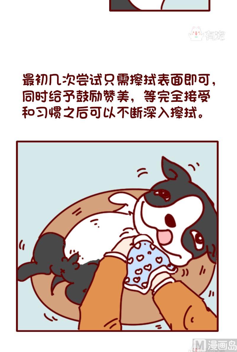 🍜有宠百科 第104话 第5页