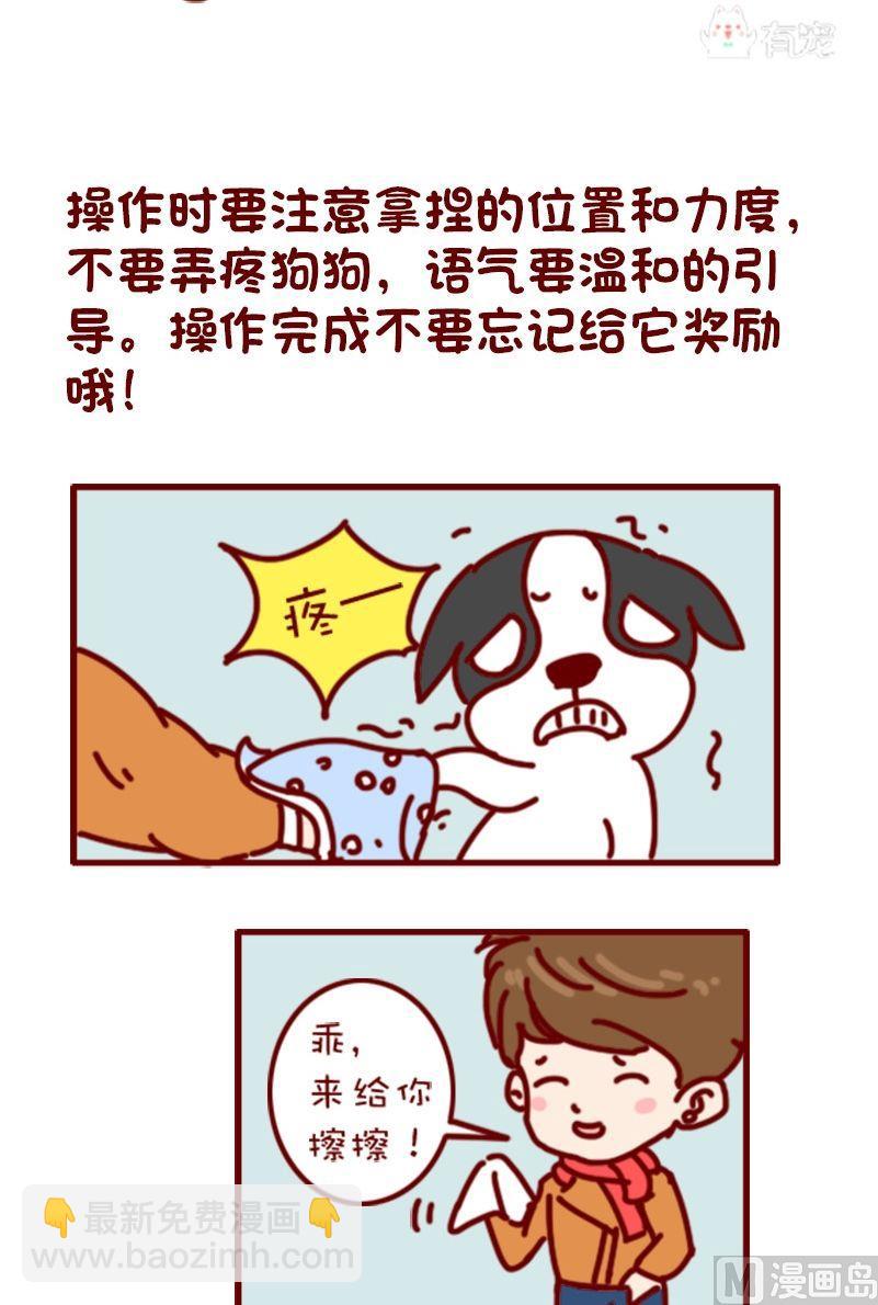 🍜有宠百科 第104话 第7页