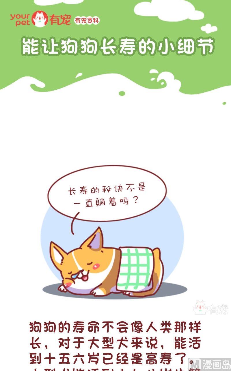 🍜有宠百科 第106话 第1页