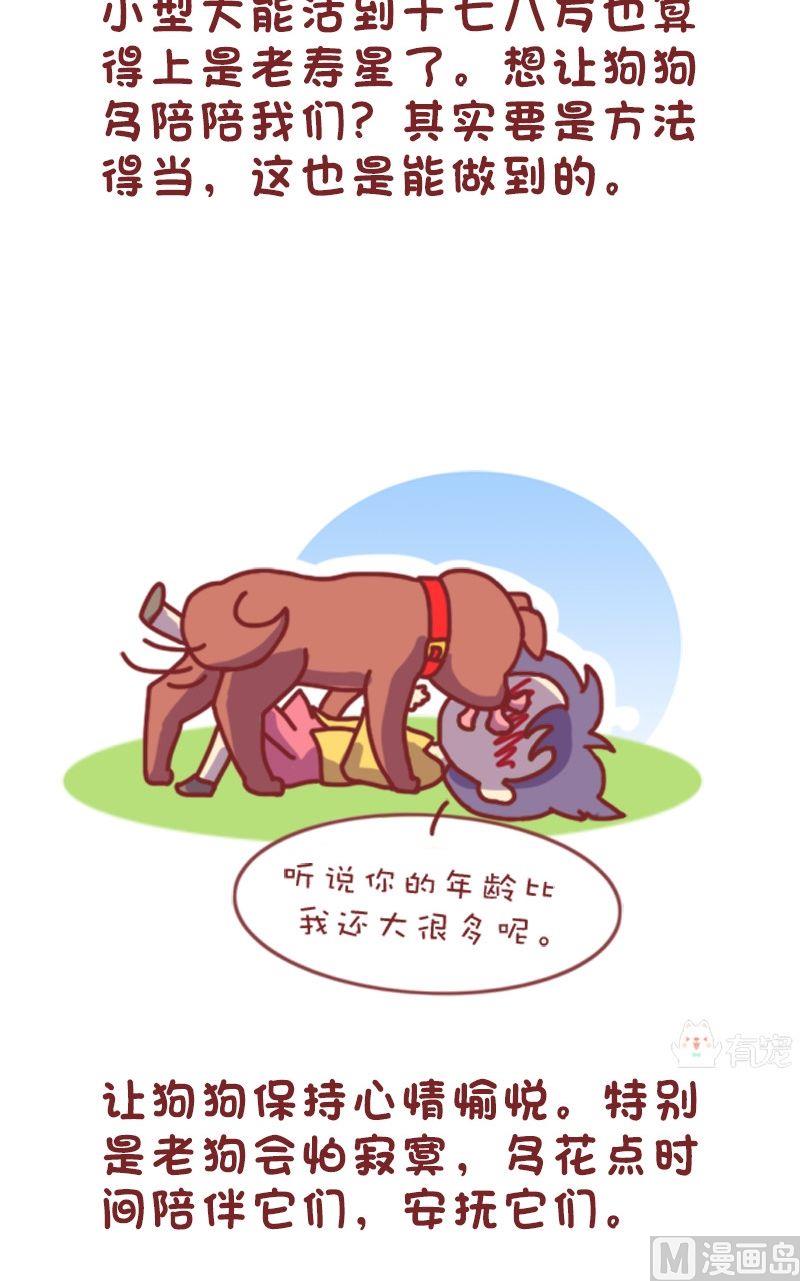 🍜有宠百科 第106话 第2页