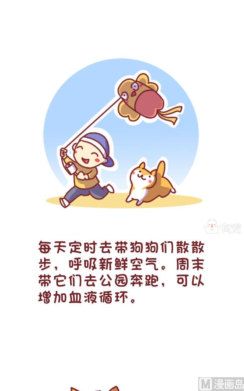 🍜有宠百科 第106话 第3页