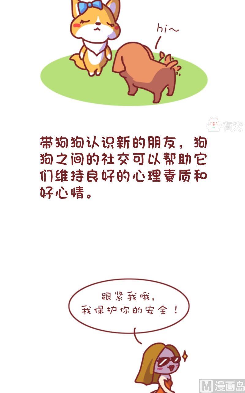 🍜有宠百科 第106话 第4页